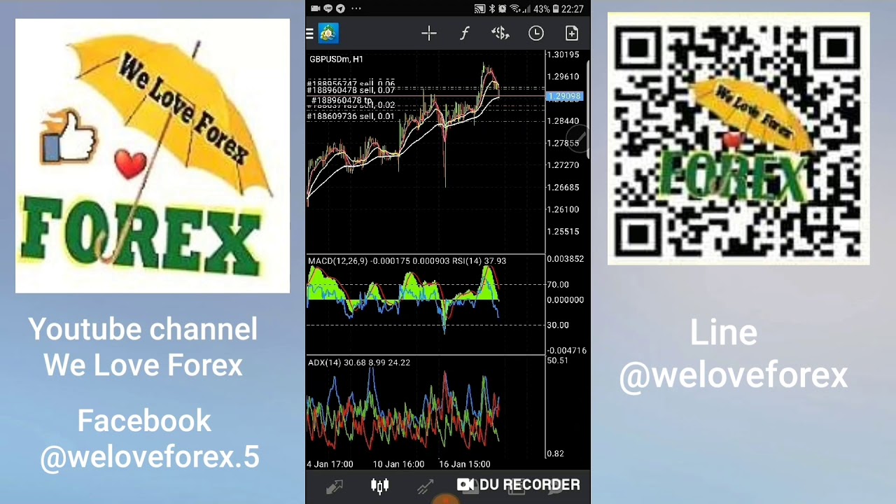แก้ไม้ forex