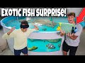 SURPRISING My Friend with DREAM EXOTIC REEF FISH!! ($1,500)