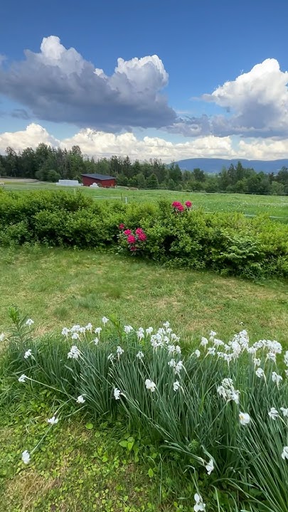 То самое место где мне хорошо #норвегия #жизньвнорвегии #norway # ...