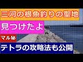 釣り初心者向けマル秘テトラ穴釣りの釣り方のコツを公開・三河湾の根魚