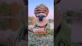 The Best Star Wars Dog Costume Of All Time!! #Dog #Starwars #Costume #Halloween