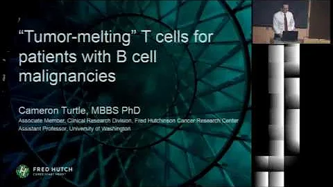 Tumor-melting T cells for B cell malignancies