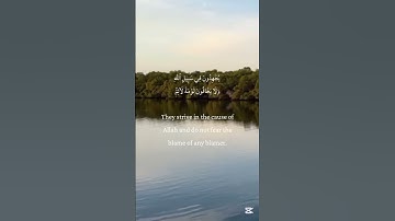 المائدة 54 🤍 #سورة #راحة_نفسية #القران_الكريم #nature #اكسبلور #القرآن_الكريم #لايك #القرآن #القران