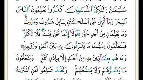 الصفحة رقم ( 16 ) من ختمة مصحف التجويد برواية حفص بصوت القارئ محمد حبش