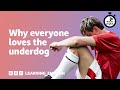 Why everyone loves the underdog  6 minute english