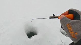 Рыбалка в декабре! НА простую мормышку.. ВИЖУ И ЛОВЛЮ! Плотва, окунь, щука. Мокрый лёд