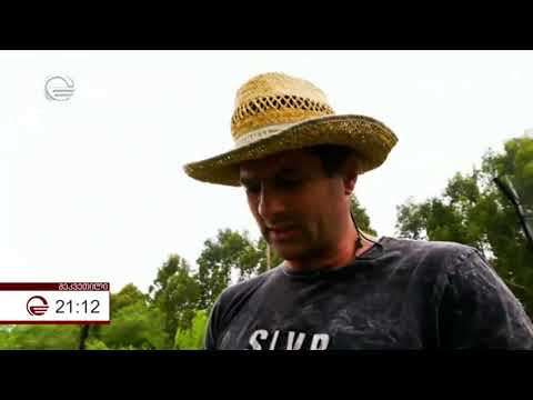 ბიძინა ივანიშვილის მიერ, შეკვეთილში გაშენებული დენდროლოგიური პარკი