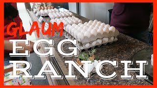 A Visit to Glaum Egg Ranch in Aptos