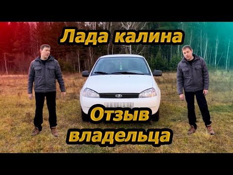 Video: Калинаны кантип тосуу керек?