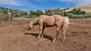 Very First Ride In Montana