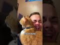 #cat #cattok #catsoftiktok