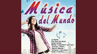 Medley 1: (Kashlarin Inge Inge / Erzurum / Delilo / Beyruit Adanaly / Verisario / Itya Golfo) - The Fool Wasters