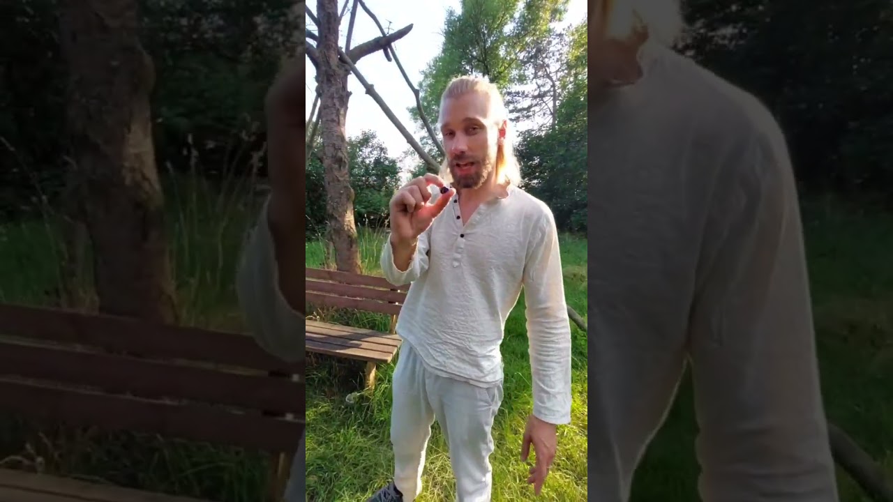 Video-Vorschau