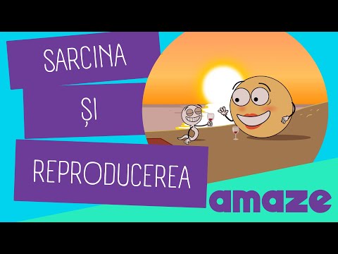 Video: Ce este reproducerea în vrac?