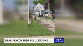 Search for bear in Ludington ends