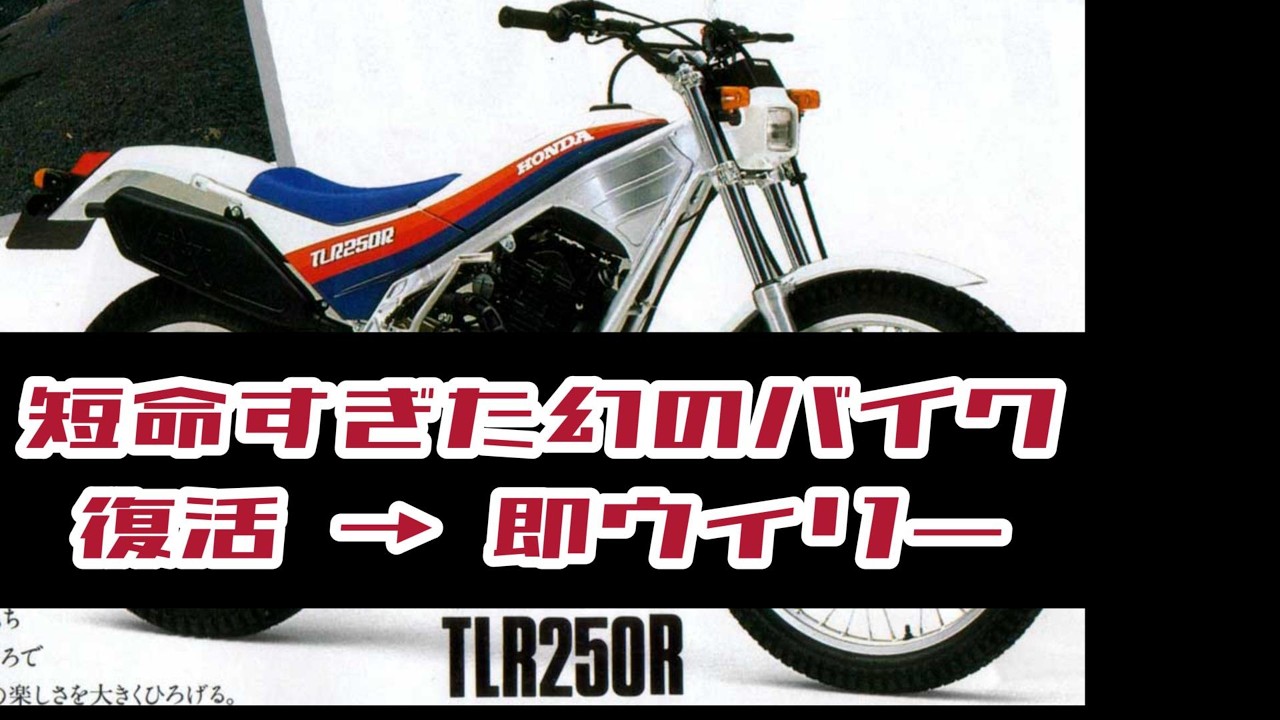 直して、迷わず土へ。「釣りらー」