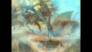 Bon Iver "The Wolves (Act I And II)"