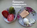 Принципы правильного питания