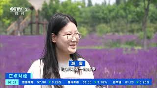 [正点财经]河北邯郸：绿美溢泉湖 游人赏花醉| 财经风云