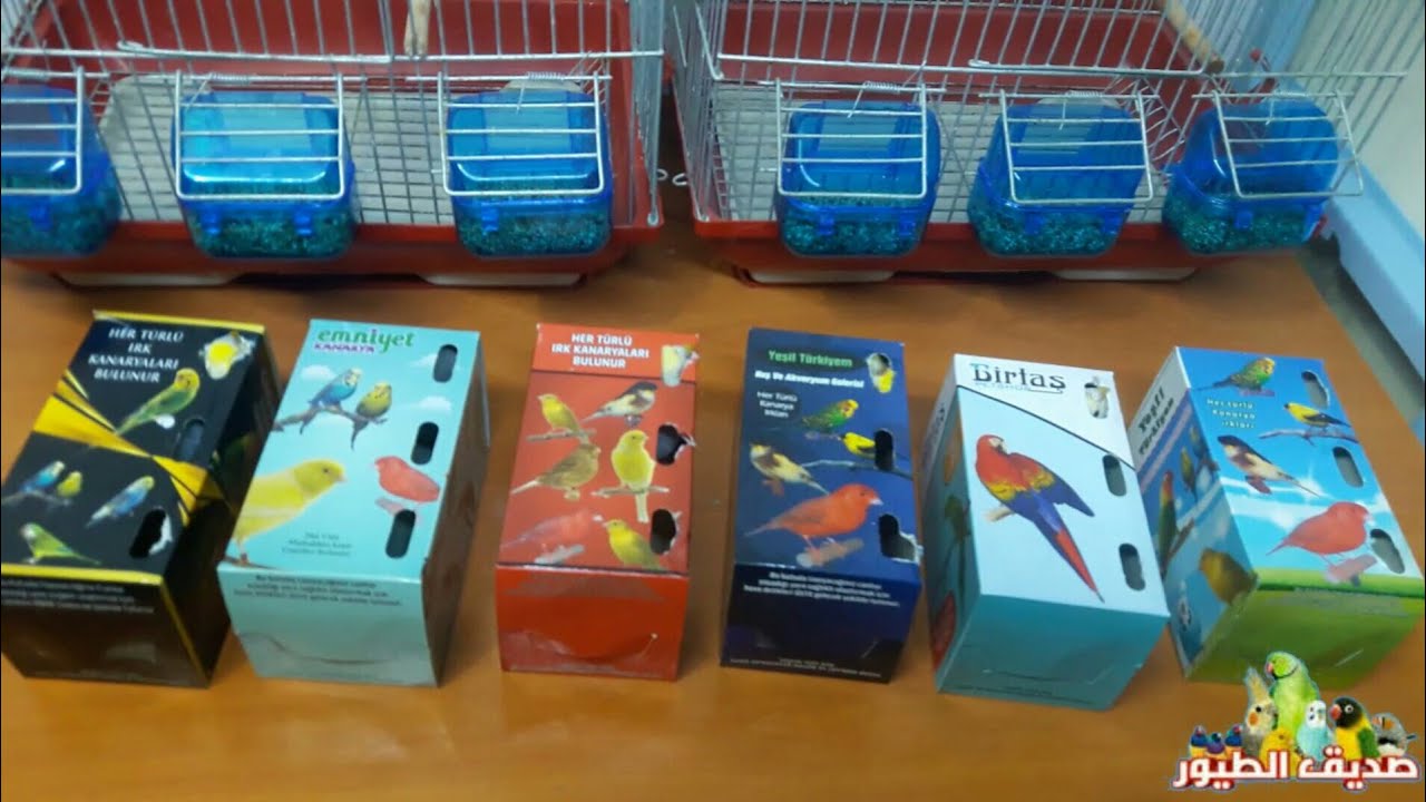 اخيراً أشتريت 3 أزواج رينبو + كيف تعرف الرينبو الحقيقي