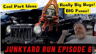 Junkyard Run Episode 6 with Cicadas, fuse blocks and parts talk. #poweraddictscrew