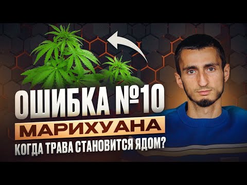 ОШИБКА №10 - ВСЯ ПРАВДА О МАРИХУАНЕ. Что скрывают от вас и чего НЕ ЗНАЕТЕ о ее воздействии на мозг