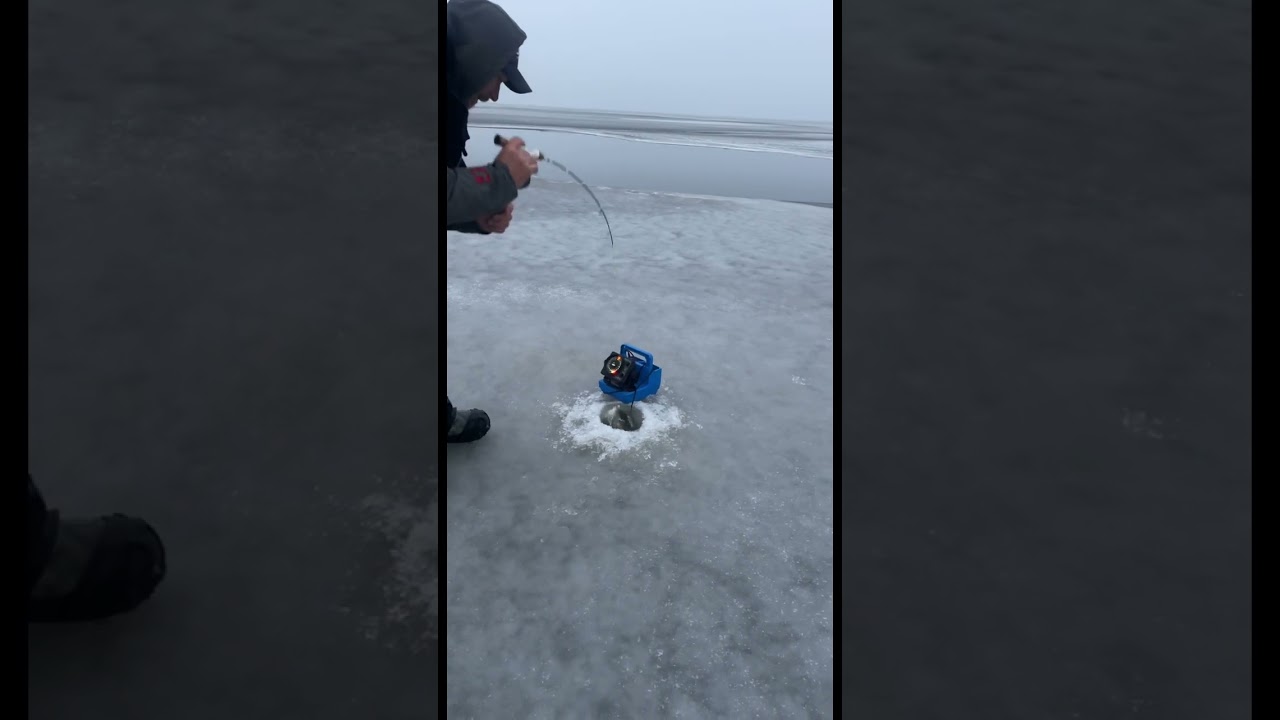 Insane early ice bite‼️🎣