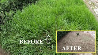 Lawn mowing time lapse in overgrown small front yard by Lawn Care - IMM @Lawn_Care 482 views 11 months ago 6 minutes, 1 second