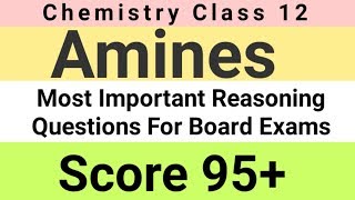 Amines Unit 13 Guaranteed Important Questions for BOARD | अगर अच्छे Marks लाने हैं तो जरूर देखें