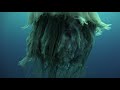 Lion's Mane Jellyfish at  Sail Rock 19 October 2017 Underwater video