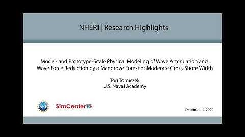 SimCenter | Physical Modeling of Wave Attenuation & Wave Force Reduction, December 4, 2020