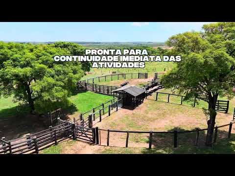 Vídeo do imóvel — Fazenda em Areado  -  Camapuã | MS