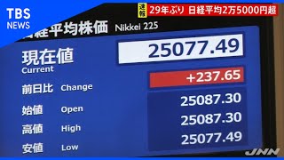 【速報】日経平均株価 ２万５０００円台まで上昇、２９年ぶり高値