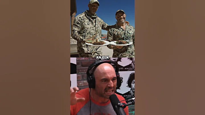 Joe Rogan talks about daily diet for energy thumbnail
