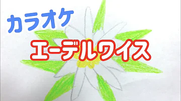 تحميل 小学音楽 音楽のおくりもの4 エーデルワイス 歌詞付き تحميل 小学音楽 音楽のおくりもの4 エーデルワイス 歌詞付き