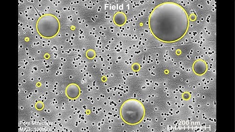 Hands-on Activity Demonstration: Particle Size from Microscopy Images