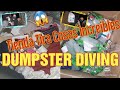 ♻️DUMPSTER DIVING/LO QUE TIRAN EN USA 🇺🇸 TIENDA Tira Increibles Cosas Nuevas Ropa.Almoadas y mas