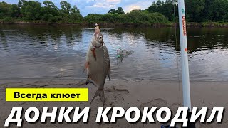 Самая Лучшая Рыбалка - 5 Видов Рыбы За Один Выезд!