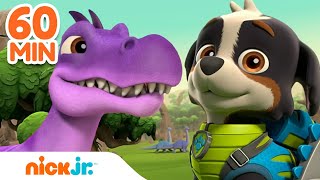 Rex Leads the PAW Patrol on Dinosaur Rescues!  w/ Chase & Skye | 60 Minute Compilation | Nick Jr.