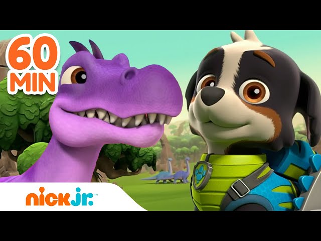 Rex Leads the PAW Patrol on Dinosaur Rescues! 🦖 w/ Chase u0026 Skye | 60 Minute Compilation | Nick Jr. class=