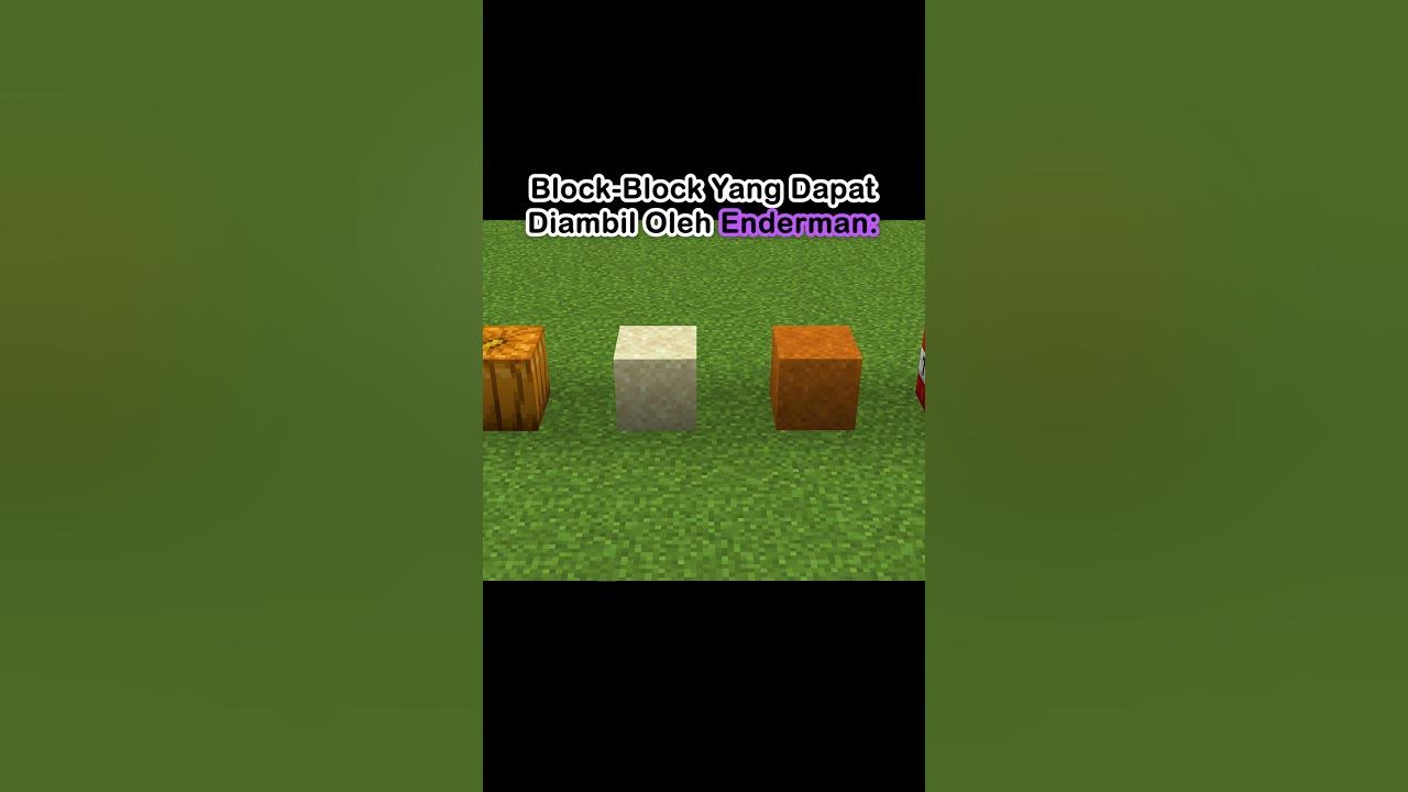 The Blocks That Enderman Can Pick Up minecraft shorts YouTube