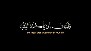 قال إني ليحزنني أن تذهبوا به وأخاف أن يأكله الذئب.... سورة يوسف