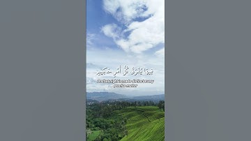 Surah Ad Dukhan (سورة الدخان) |  Mishary Rashid Al Alafasy