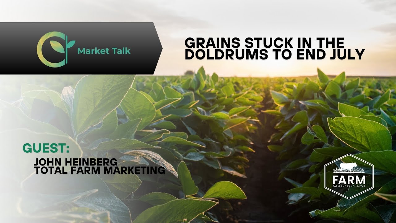 Grains Stuck in the Doldrums to End July Grains Stuck in the Doldrums to End July
