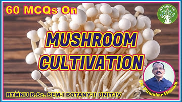BOTANY 4U | RTMNU B. SC. SEM-I BOTANY-II UNIT-IV | PITAMBAR HUMANE | MCQs on Mushroom Cultivation