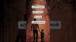Father's love|| Sinhala quote|| about father love #Tiktok #support #Shinhalquote
