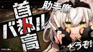 白銀ノエルの配信のサムネイル画像