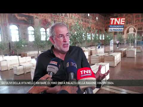GLI ULIVI DELLA VITA NELLE 100 BARE DI YOKO ONO A PALAZZO DELLA RAGIONE | 06/09/2024