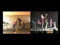 OKGO Granbury High School Comparison