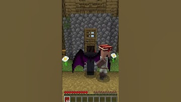 The Barrier Block Is Weird #minecraft #game #hottake